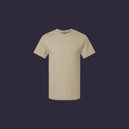 Classic economic medium weight and soft texture T-shirt (Copy)